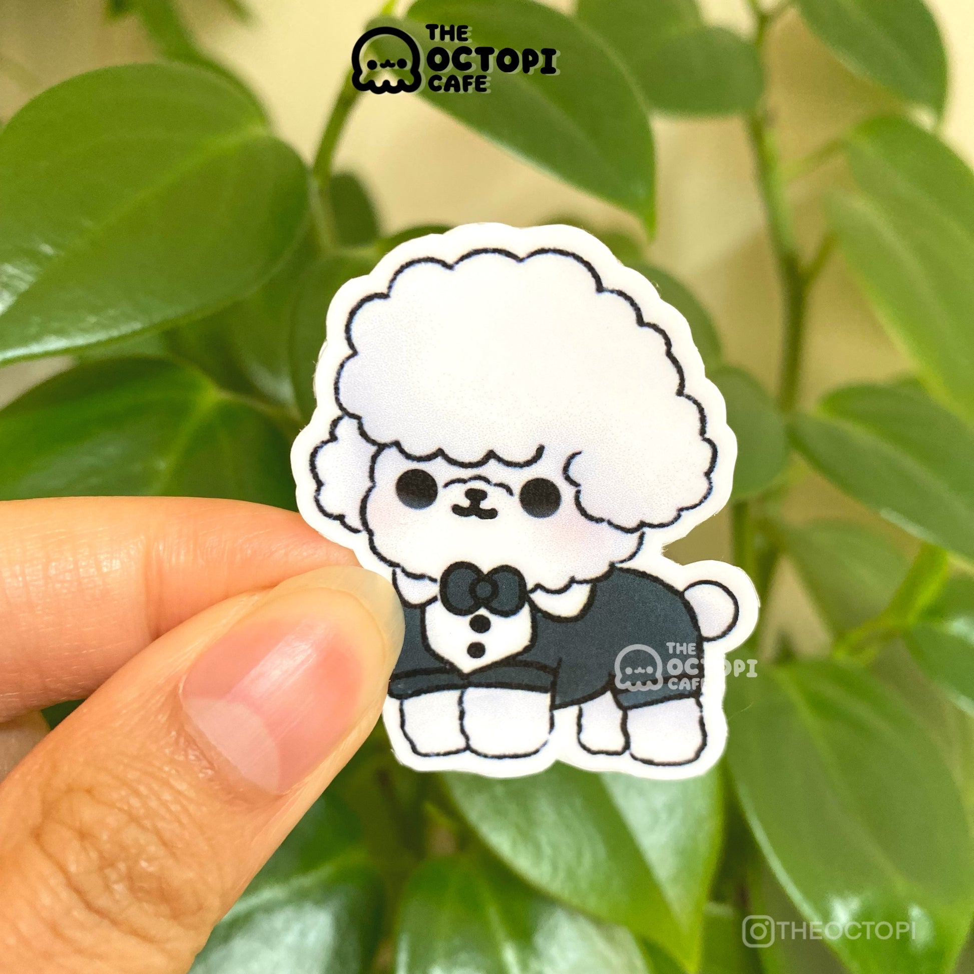 Fancy Toy Poodle Vinyl Sticker Decal – The Octopi Cafe
