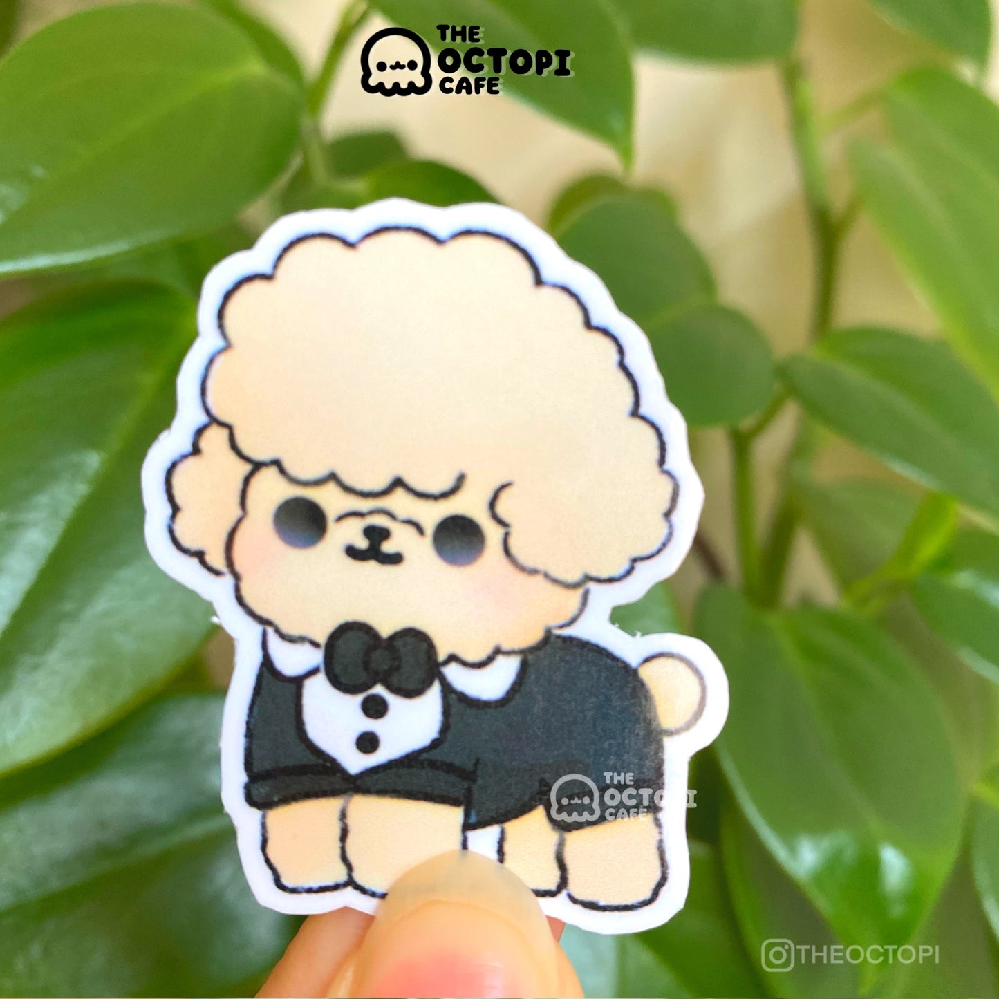 Fancy Toy Poodle Vinyl Sticker Decal