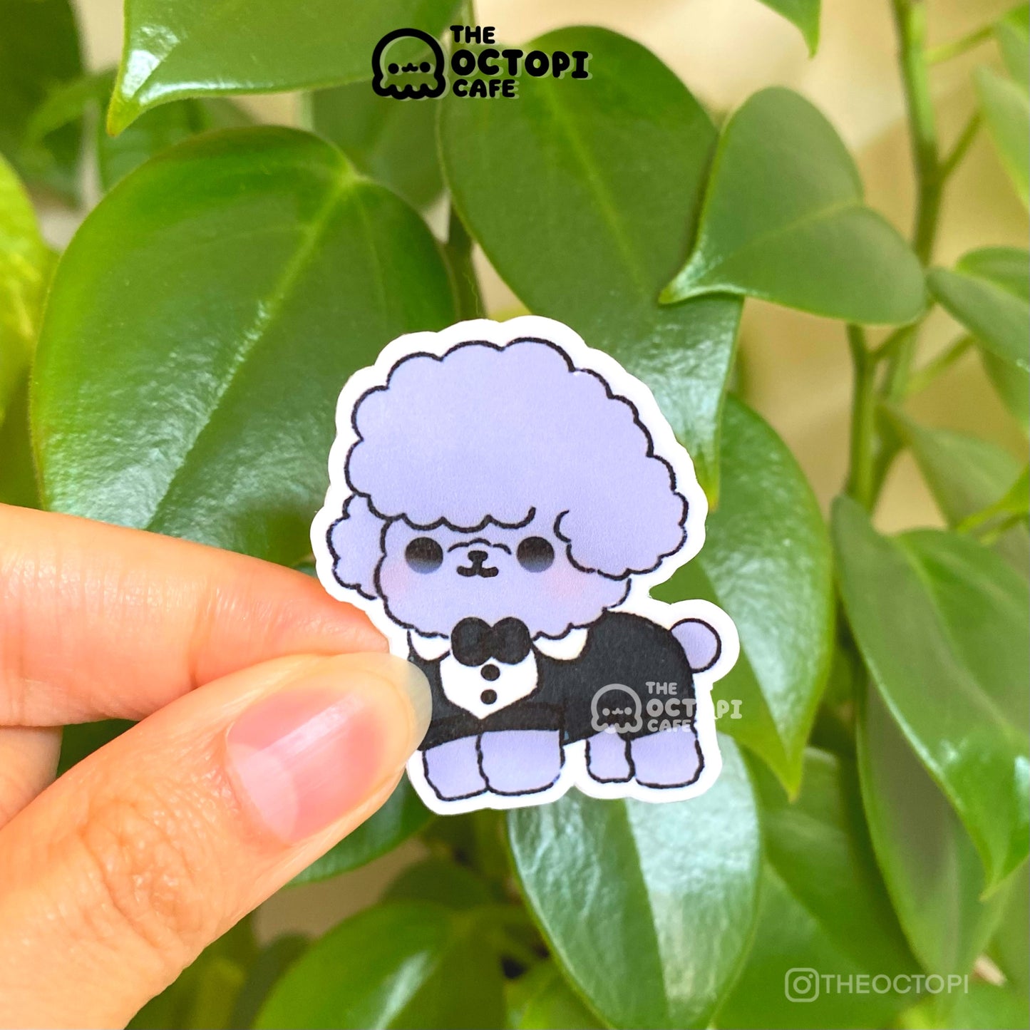 Fancy Toy Poodle Vinyl Sticker Decal